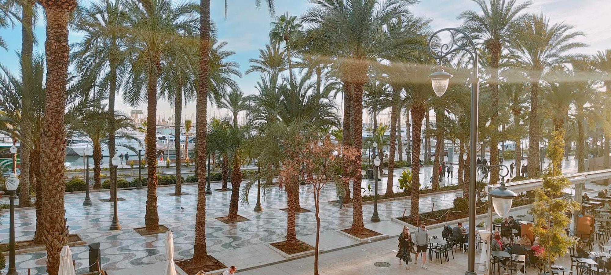Alicantissima Marina & Beach Alicante Bagian luar foto